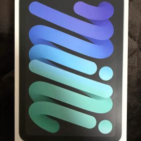 iPad mini A17 Pro Wi-Fi+Cellular 256GB美品