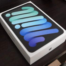 iPad mini 第7世代 スペースグレイ