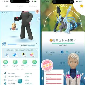 🔰【TL60】伝説441 色違い221 Bキュレム100 星の砂24443 ガチ勢引退垢✨ | ポケモンGOのアカウントデータ、RMTの販売・買取一覧