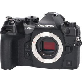 ＯＭ－１ＭＡＲＫ ＩＩ(デジタル一眼)