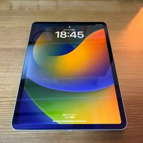 Apple iPadPro 11インチ 第一世代 64GB