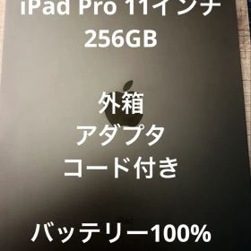 iPad Pro 11インチ 256GB