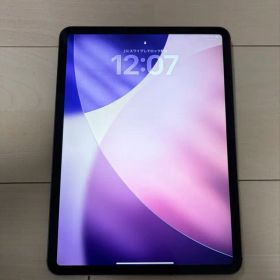 【美品】iPad Pro 11 1st 256GB セルラー版
