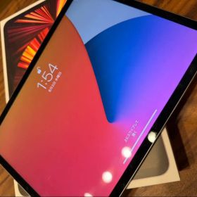 iPad Pro 11インチ WiFi スペースグレー 本体 第3世代