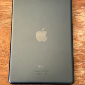 Apple iPad mini 第1世代 スペースグレー 7.9インチ