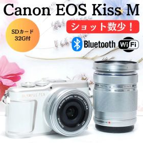 ❤️美品❤️箱付❤️ショット数僅か❤️ OLYMPUS E-PL10 ダブルレンズ
