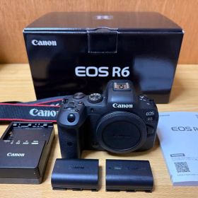 Canon EOS R6 ミラーレス一眼 カメラ本体 キャノン