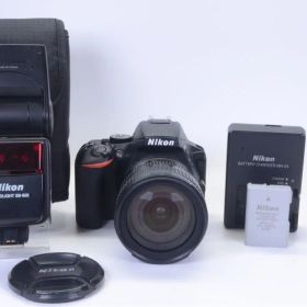 【ショット数極少 838枚！】 D5600 レンズセット／動作良好