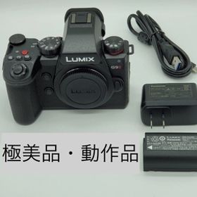 極美品/動作品 Panasonic LUMIX DC-G9M2 25.2MP ミラーレス デジタルカメラ