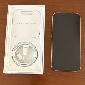 Apple iPhone 14 Pro シルバー 256GB 本体