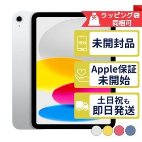 iPad 第10世代 256GB APPLE Wi-Fiモデル 新品未開封 本体