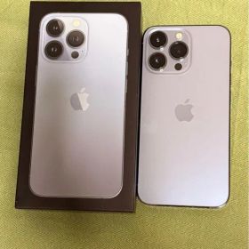 Apple iPhone 13 Pro シルバー 本体 箱付き