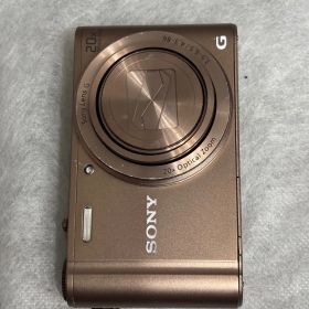 SONY サイバーショット DSC-WX300 9271