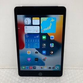 Apple アップル iPad mini 4 128GB MK762J/A A1550 スペースグレイ 5キャリア － SIMフリー 本体のみ 251124SK300322