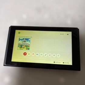Nintendo Switch ジャンク