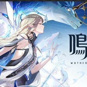 星声50000個+唱喚の渦模様95+金髄の波模様2 初心者ガチャ | 鳴潮(Wuthering Waves)のアカウントデータ、RMTの販売・買取一覧