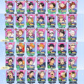 リリース日古参引退アカウントICONIC161、限定36、完凸キャラ | ハイドリ(ハイキュー!! TOUCH THE DREAM)のアカウントデータ、RMTの販売・買取一覧