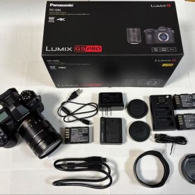 [極美品] DC-G9L パナソニックルミックスG9Proレンズキット