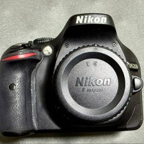 〖美品〗Nikon D5200 デジタル一眼レフカメラ 防湿室保管