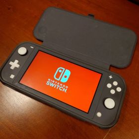 Nintendo Switch Lite グレー ケース付き