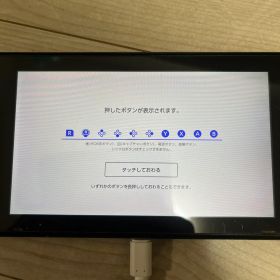 Nintendo Switch Lite グレー 本体 Joy-Con付き