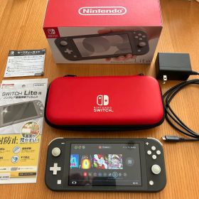 Nintendo Switch Lite グレー 充電器・ケース、フィルム付き