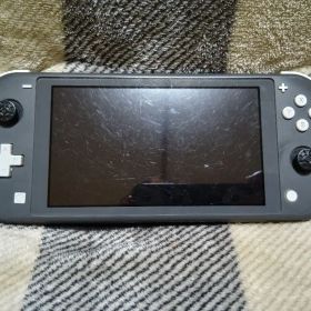 Nintendo Switch Lite グレー 本体のみ