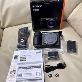 SONY α6600 ミラーレス 一眼 本体