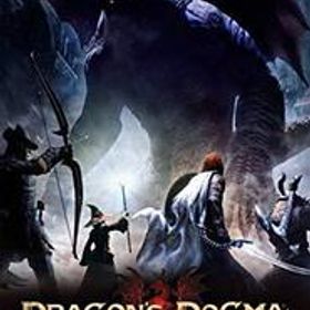 ドラゴンズドグマ:ダークアリズン -Switch(中古品)