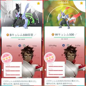 最強引退垢 色違いキュレム100%2体、色違いレックウザ100%など高個体・色違い多数‼️ | ポケモンGOのアカウントデータ、RMTの販売・買取一覧