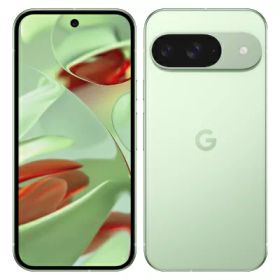 【ネットワーク利用制限▲】Google Pixel9 G1B60 128GB Wintergreen【docomo版SIMフリー】 Google 当社3ヶ月間保証 中古 イオシス
