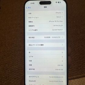 海外版 iPhone 16 Pro Max 256GB，バッテリーは100％
