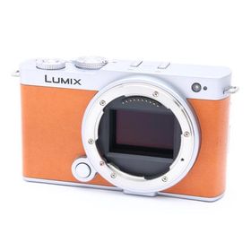 《美品》Panasonic LUMIX S9 ボディ DC-S9