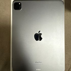 おまけ付き Apple iPad Pro 11インチ モデル第4世代 本体