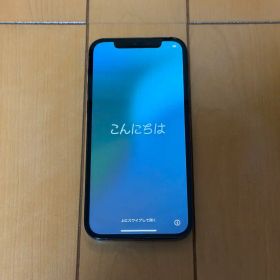 iPhone 12 Pro 256GB パシフィックブルー