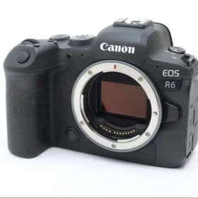 【お値下げ交渉可】Canon EOS R6