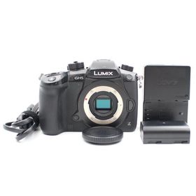 シャッター数12187枚 PANASONIC GH5S ボディ ブラック DC-GH5S-K ミラーレス一眼カメラ パナソニック