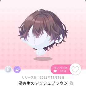 優等生のアッシュブラウン | ポケコロツイン(ポケツイ)のアカウントデータ、RMTの販売・買取一覧