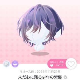 未だ心に残る少年の紫髪 | ポケコロツイン(ポケツイ)のアイテム、RMTの販売・買取一覧