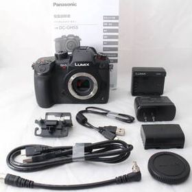 ☆新品級・ショット数139☆ Panasonic LUMIX GH5S ボディ ブラック DC-GH5S-K パナソニック ミラーレス一眼カメラ ルミックス #4417