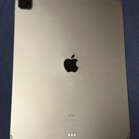 Apple iPad Pro 12.9インチ スペースグレジャンク品