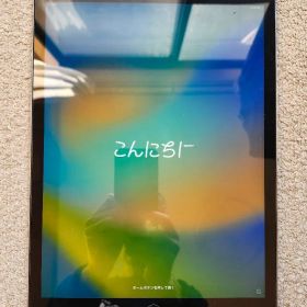 iPad Pro 12.9 第1世代 Wi-Fi＋Cellular 128㎇