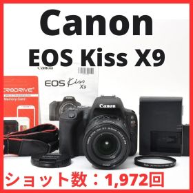 L11[7125A]60★極美品★ キヤノン Canon EOS Kiss X9 ボディ 18-55mm IS STM レンズキット 【ショット数 1,972回】
