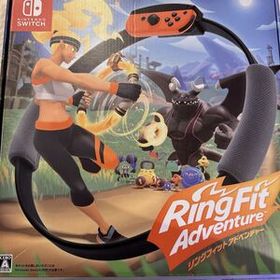 【美品】 リングフィット アドベンチャー Ring Fit Adventure