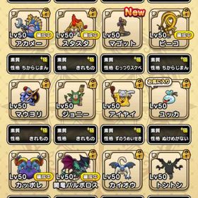 なかモン確認用 | ドラクエウォークのアカウントデータ、RMTの販売・買取一覧