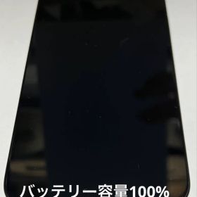 Apple iPhone 15 ProMax 256G バッテリー容量100%