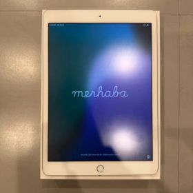 ipad 第7世代wifiモデルシルバー32GB