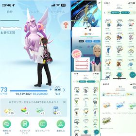 最強引退垢 | ポケモンGOのアカウントデータ、RMTの販売・買取一覧