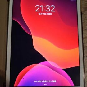 Apple iPad mini 4 シルバー 64GB ProCase付き