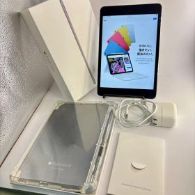 美品 Apple iPad mini4 Wi-Fi 128GB スペースグレイ